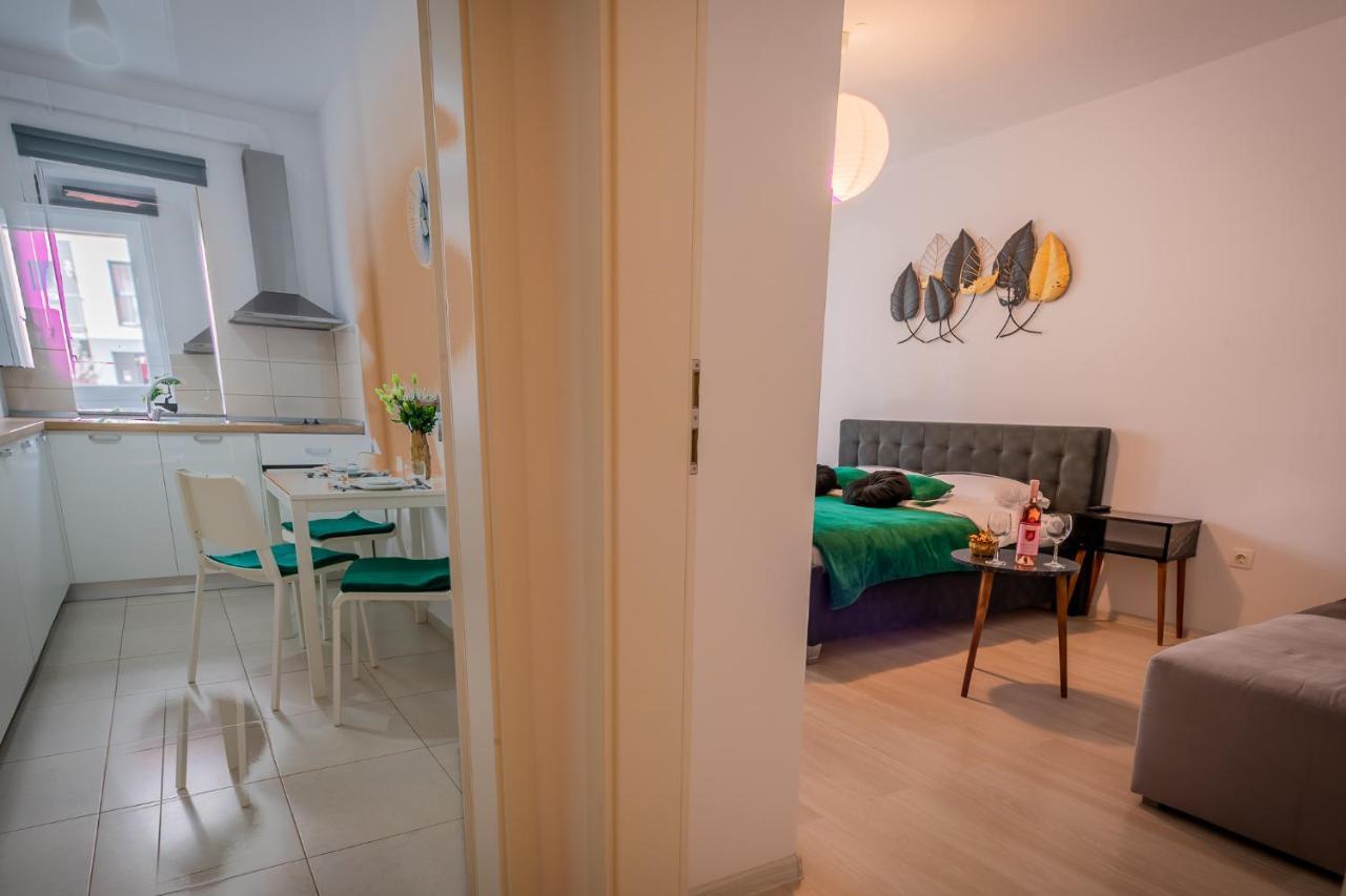 Coresi Vibe Studio Брашов Екстер'єр фото
