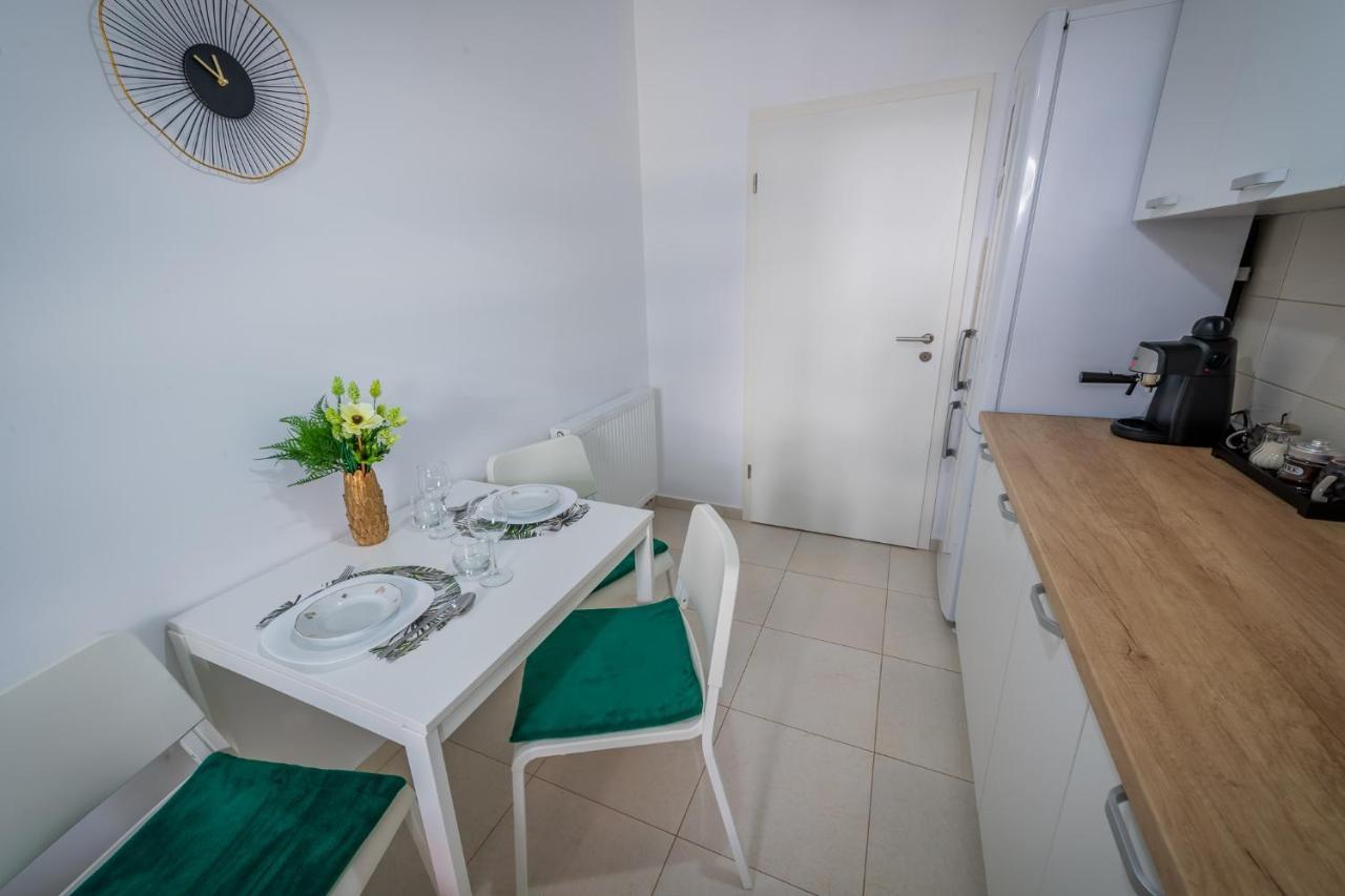Coresi Vibe Studio Брашов Екстер'єр фото